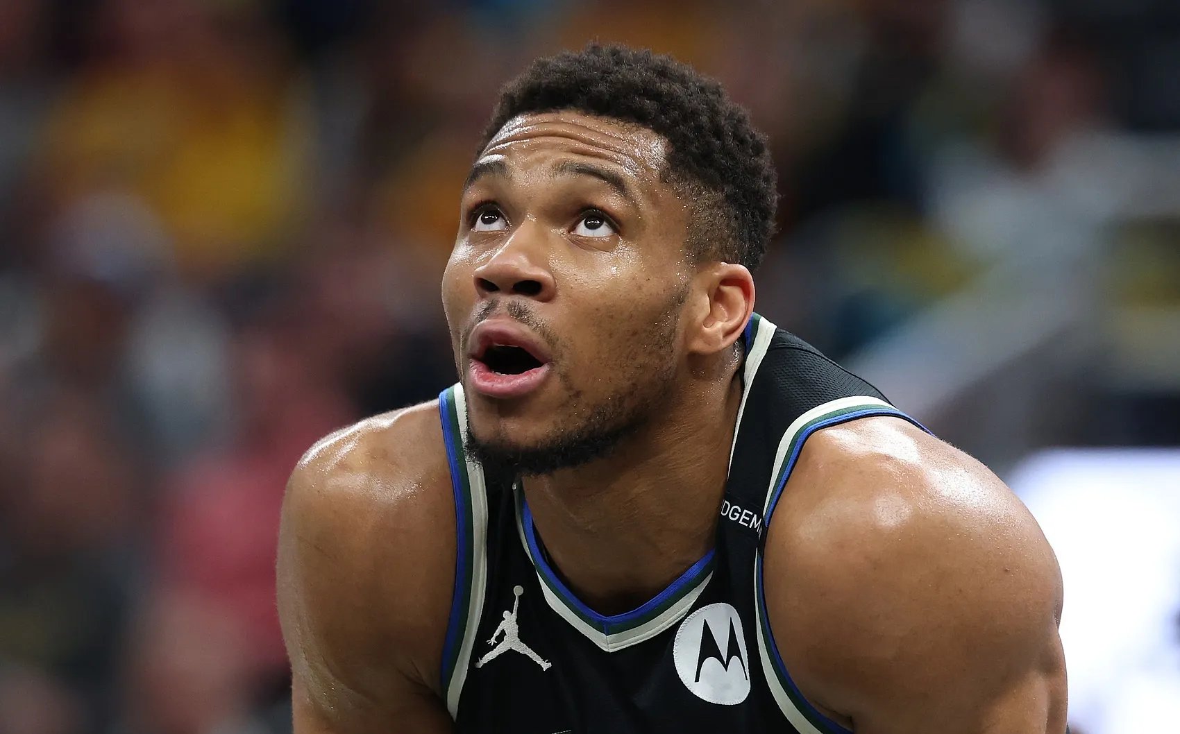 关于字母哥连续七场比赛得分超过高光表现，加拿大队挑战极限！的信息